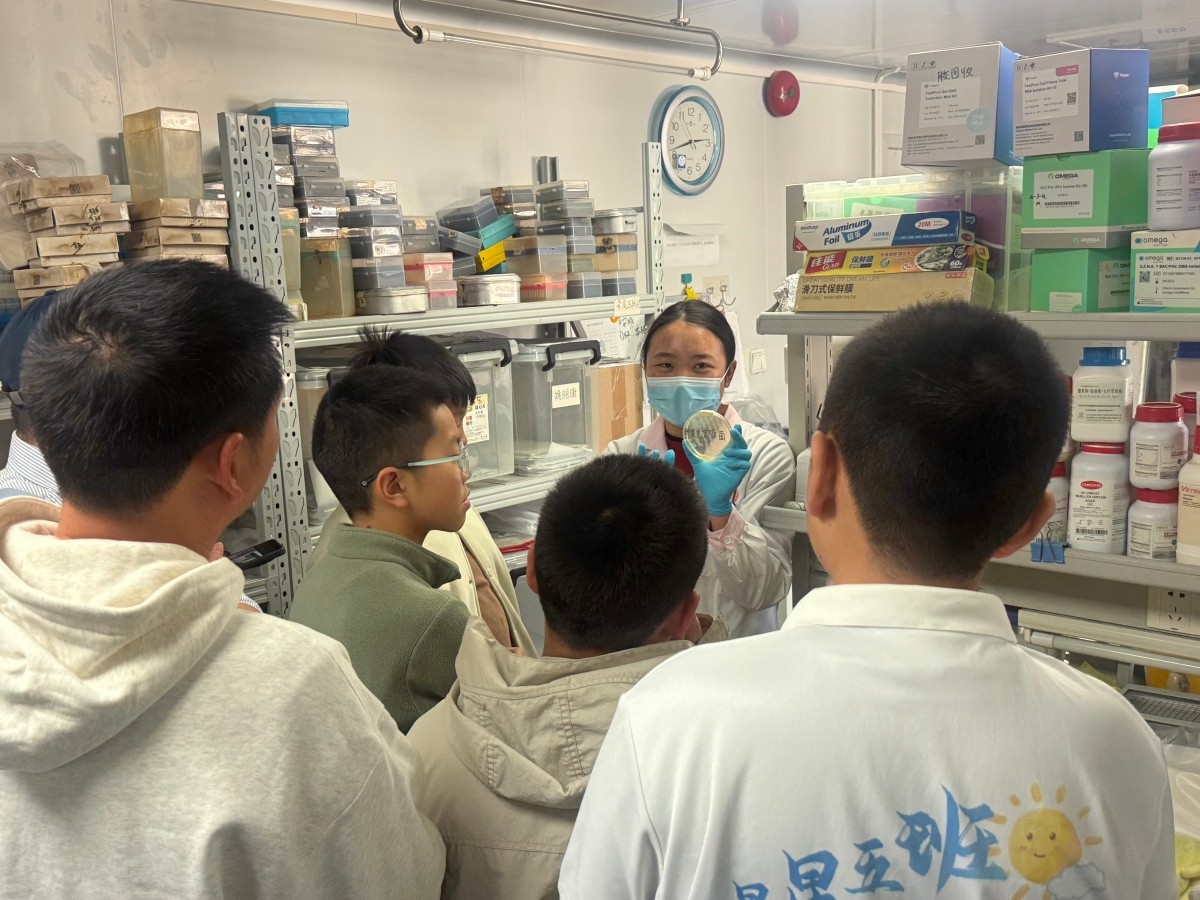 1768286188898346.jpg 1768286188898346.jpg